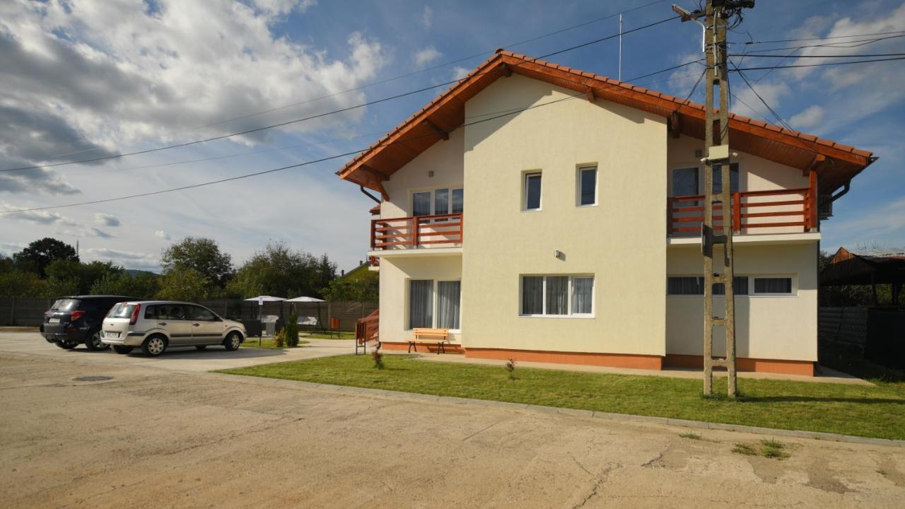 Pensiunea Hera Hateg Bagian luar foto